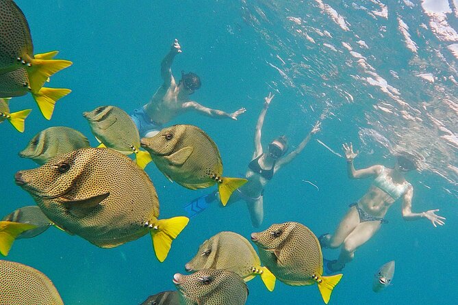 Private Guided Snorkeling in Cabo San Lucas - Key Points That Make This Snorkeling Worth It