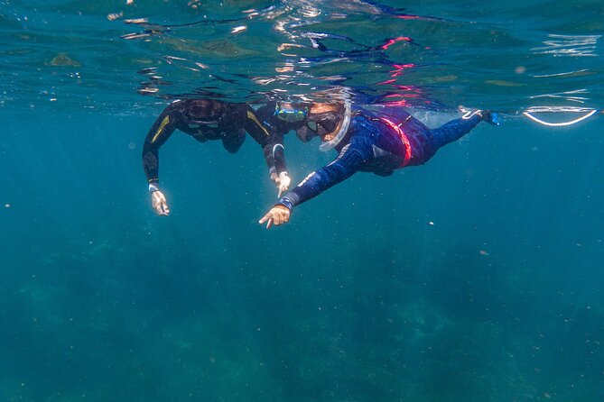 Private Guided Snorkeling in Cabo San Lucas - El Arco First, Then the Water: How This 3-Hour Trip Actually Feels