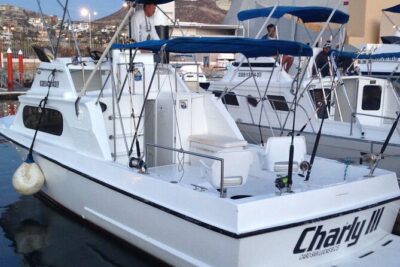 Private Half-day Deep Sea Fishing Charter in Cabo San Lucas - On Board: What’s Included and What You Should Plan to Bring