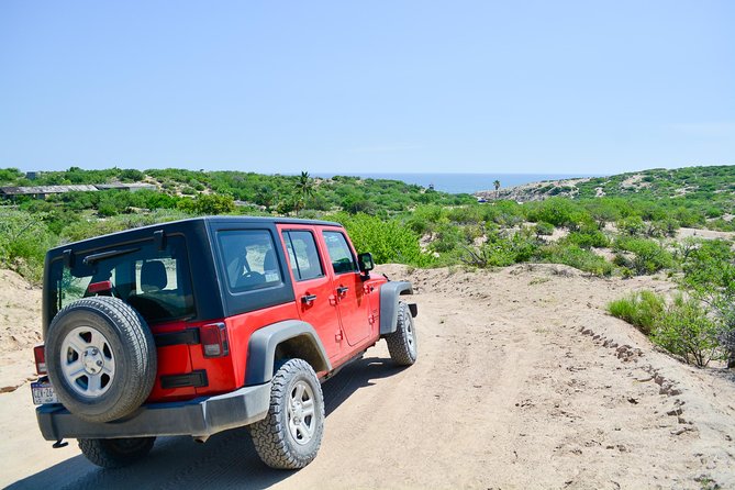 Private Jeep Tour Cabo Pulmo - Lunch in Miraflores at Restaurant Los Agaves: tacos, guacamole, and vegan choices