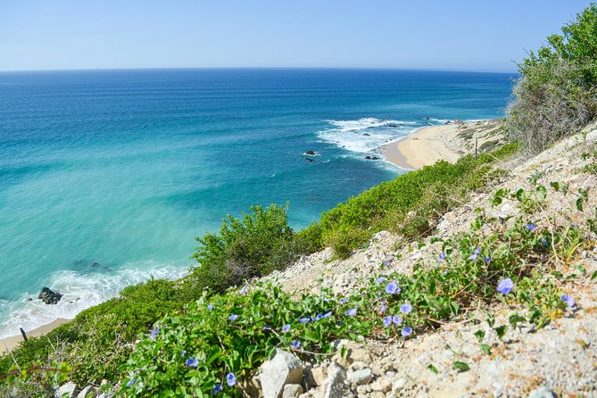 Private Jeep Tour Cabo Pulmo - Transpeninsular Highway return: how the timing usually feels