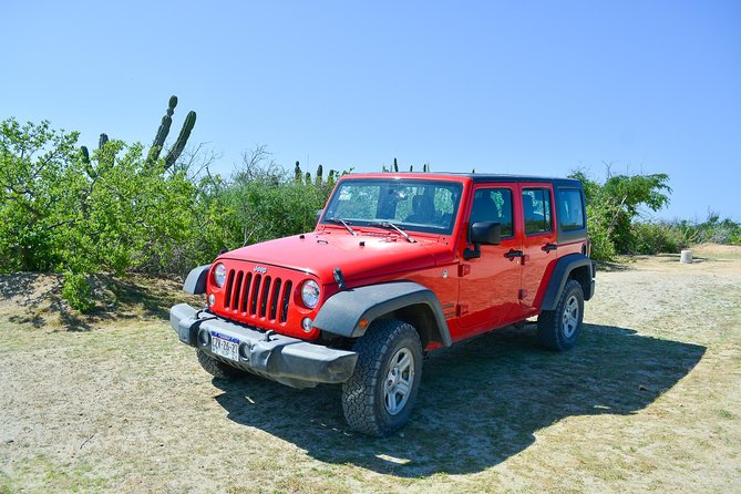 Private Jeep Tour Cabo Pulmo - Guide quality is the real multiplier