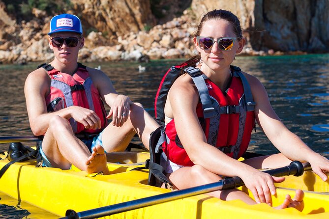 Private Los Cabos Arch and Playa del Amor Tour by Glass Bottom Kayak - Paddle to Cabo’s Arch: Sea Lions, Colorful Fish, and a Landmark You Can Touch