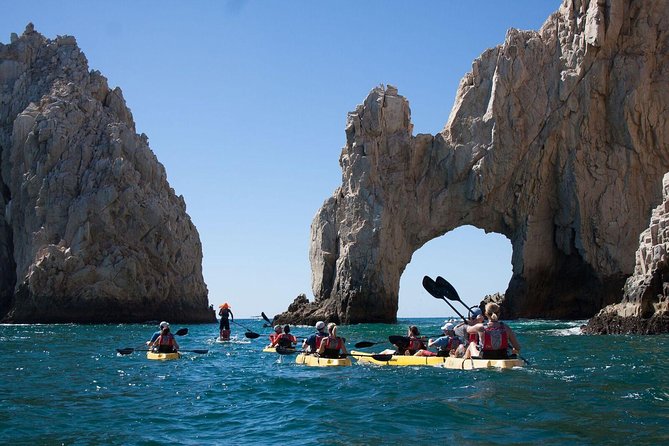 Private Los Cabos Arch & Playa del Amor tour by Glass bottom kayak - El Arco by kayak: sea lions, sea birds, and picture-ready angles