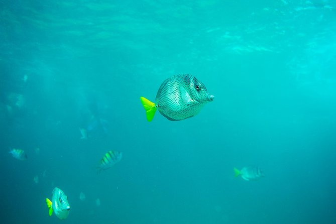 Private Los Cabos Arch & Playa del Amor tour by Glass bottom kayak - Getting to the water: Plaza Gali and an early 7:30am start