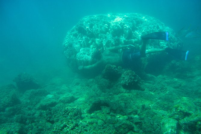 Private Los Cabos snorkeling tour to Chileno bay and Santa Maria cove - Stop 2: Chileno Bay with reefs, fish variety, and clear water
