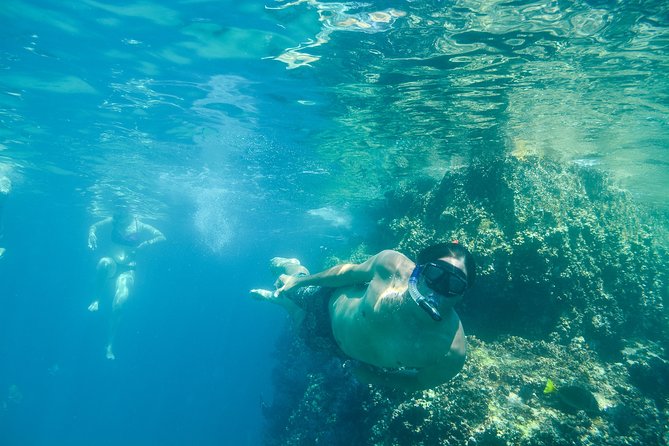 Private Los Cabos snorkeling tour to Chileno bay and Santa Maria cove - Marine life you can realistically aim to see