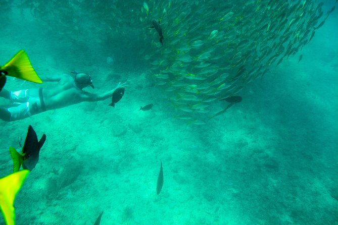 Private Los Cabos snorkeling tour to Chileno bay and Santa Maria cove - Snorkel gear, wetsuits, and staying comfortable