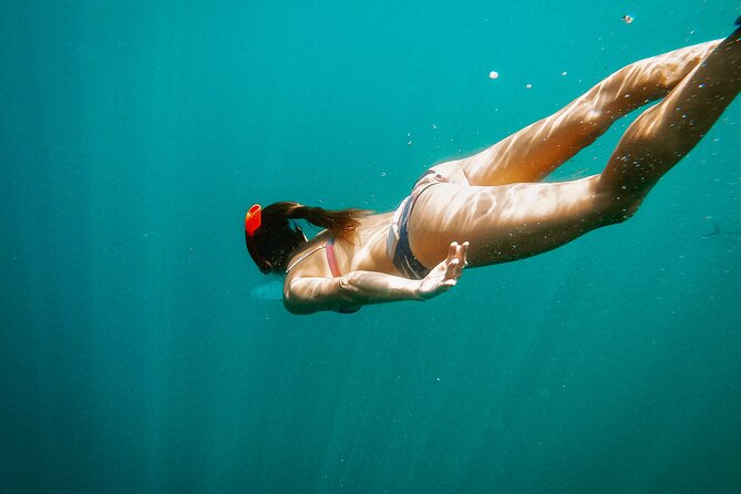 Private Luxury Adventure Tours in Cabo San Lucas - Getting There, Dock Fees, and Weather Reality Checks