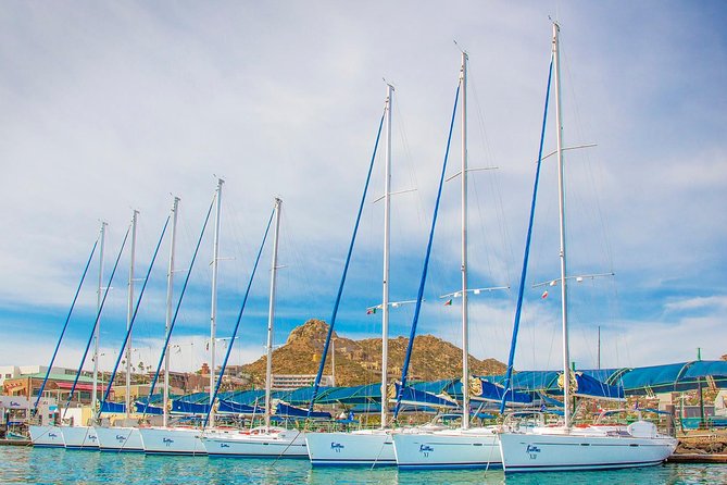 Private Luxury Sailing Cruise in Los Cabos with Lunch and Open Bar - Who should book this private Los Cabos sailing cruise