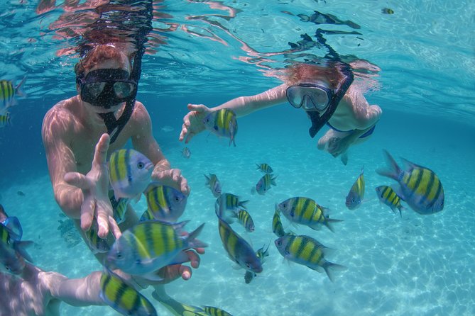 Private Luxury Sailing Cruise in Los Cabos with Lunch and Open Bar - Past El Arco and Lover’s Beach: why this route is worth it