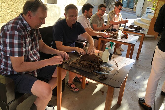 Private Puro Cigar Creation Workshop in Los Cabos - Logistics That Affect Your Experience Day