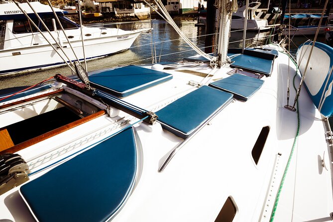 Private Sailboat tour in Cabo San Lucas with Papillon Yachts - Price and value: $800 per group that actually includes the stuff