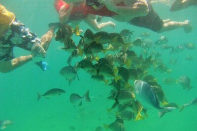 Private Snorkel Cruise in Cabo San Lucas - The 3-hour route: Lovers Beach, Pelican Rock, the Arch, sea lions, and Santa Maria Bay