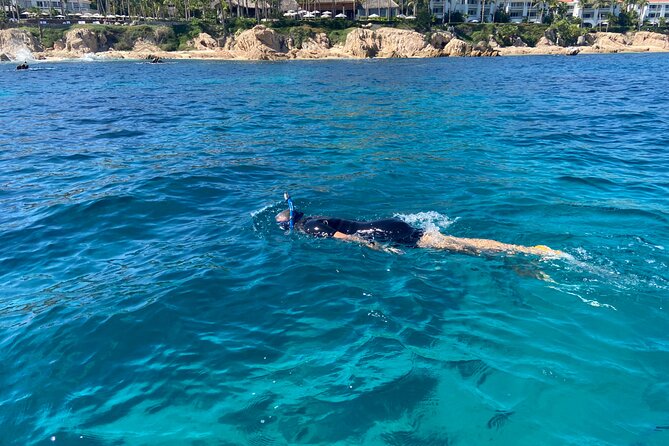 Private Snorkeling In San Jose Del Cabo Lunch, Drinks, Snack - The crew and the safety feel that keeps it comfortable