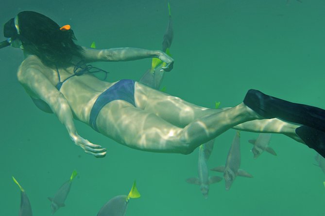 Private Snorkeling Tour in Cabo San Lucas - Santa Maria Bay, Chileno Bay, and Pelican Rock: what each stop feels like