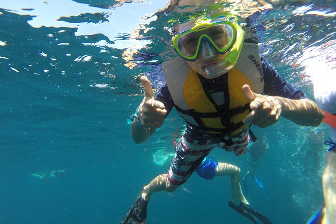 Private Snorkeling Tour in Cabo San Lucas - 2 hours vs 4 hours: where you go first and what changes
