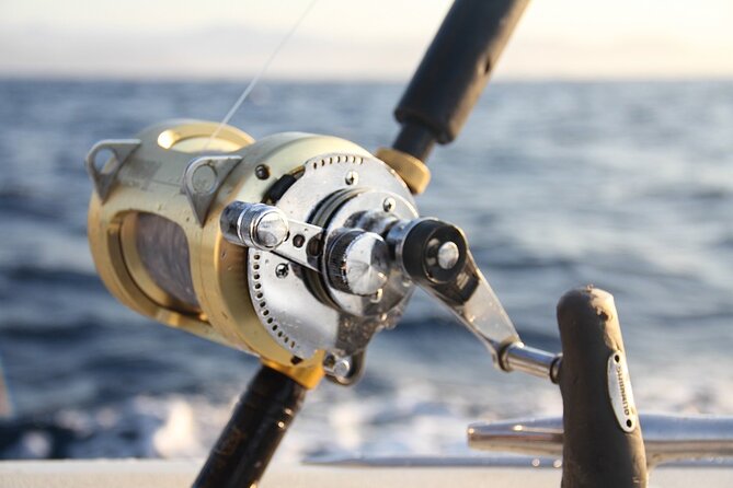 Private Sport Fishing Charter Experience in Cabo San Lucas (5 Hours) - Food and drinks at sea: Mexican buffet plus national open bar