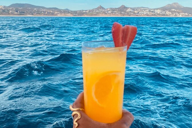Private Sunset Cruise in San Jose del Cabo Appetizers,open bar - Pricing and value: what $200 per person buys you