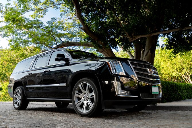 Private SUV Round-Trip from Airport to Four Seasons Resort Cabo - Getting Met at SJD: Umbrella #5 and a Driver Who Finds You
