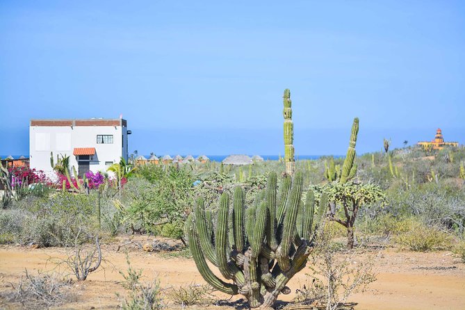 Private Todos Santos Jeep - Key Things That Make This Jeep Tour Work