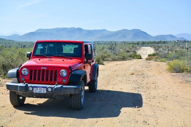 Private Todos Santos Jeep - Private Jeep Value for Up to 3 (Not a Crowded Bus Day)