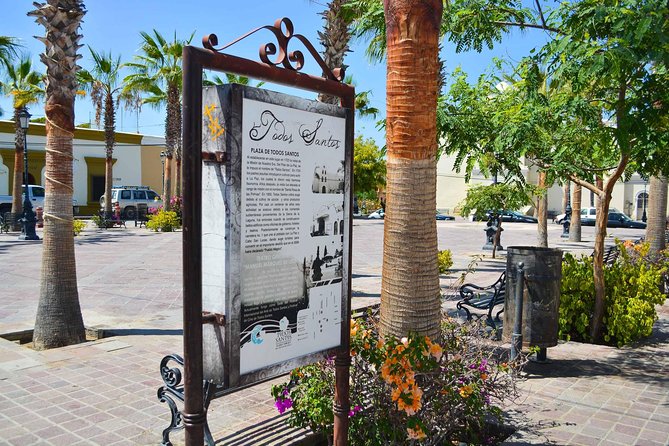 Private Todos Santos Jeep - Cerritos Beach Break: Surfer Energy Without the Cabo Chaos