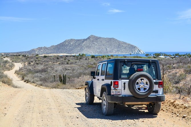 Private Tour Baja Jeep 4x4 Adventure at Los Cabos - Quick takes: what makes this Baja Jeep day work
