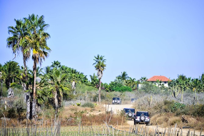 Private Tour Baja Jeep 4x4 Adventure at Los Cabos - Stop-by-stop: how each place shapes the day