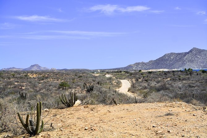 Private Tour Baja Jeep 4x4 Adventure at Los Cabos - Off-the-beaten-path value: why these stops beat a basic Cabo outing