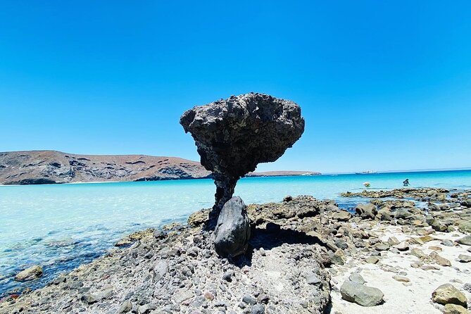 Private Tour to Balandra, La Paz and Todo Santos - Price and what you’re really buying for $362.45