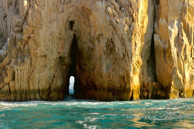 Private Tour to the Arch of Cabo San Lucas by Glass Bottom Boat - Glass-bottom viewing and sea life: how to get the best water shots