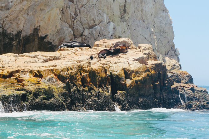 Private Tour to the Arch of Cabo San Lucas by Glass Bottom Boat - Guides and captains: upbeat explanations plus real safety focus