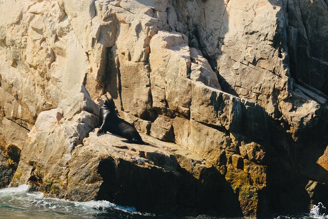 Private Tour to the Arch of Cabo San Lucas by Glass Bottom Boat - Included vs not included: what you should pack for a short boat outing
