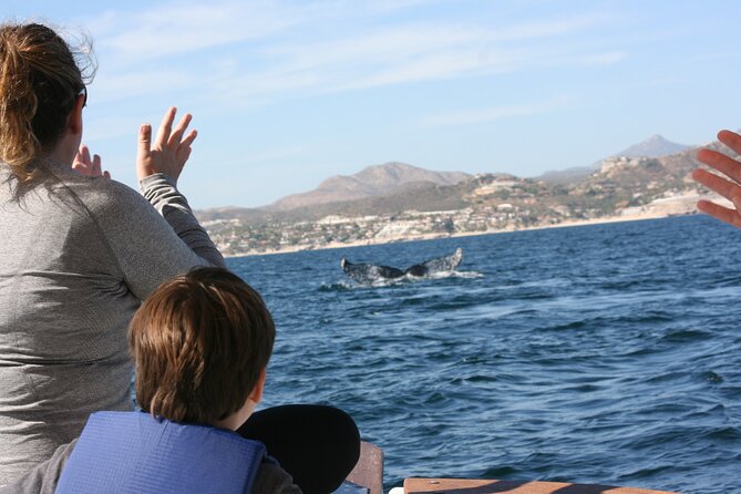Private Whale Watching in San José del Cabo - Boat Comfort and Viewing: Small Enough to Feel Close