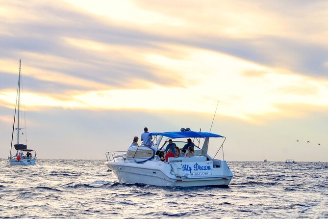 Private Whale Watching on Luxury Yacht in Cabo San Lucas - On-board inclusions: drinks and an actual naturalist guide