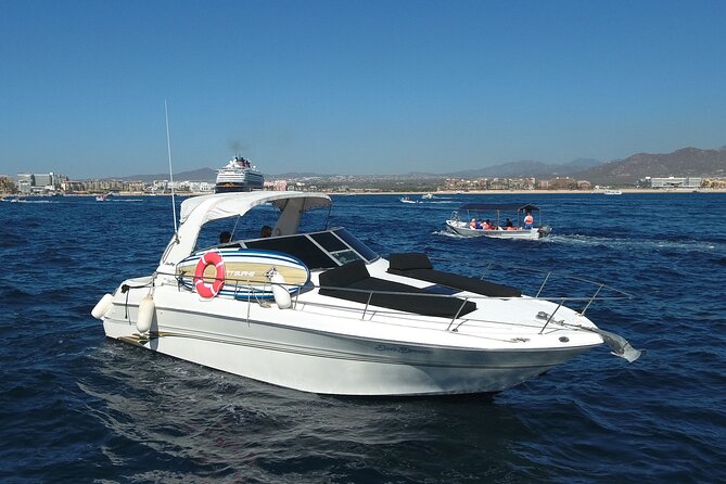 Private Whale Watching on Luxury Yacht in Cabo San Lucas - Value and price: how $999 for up to 8 can make sense