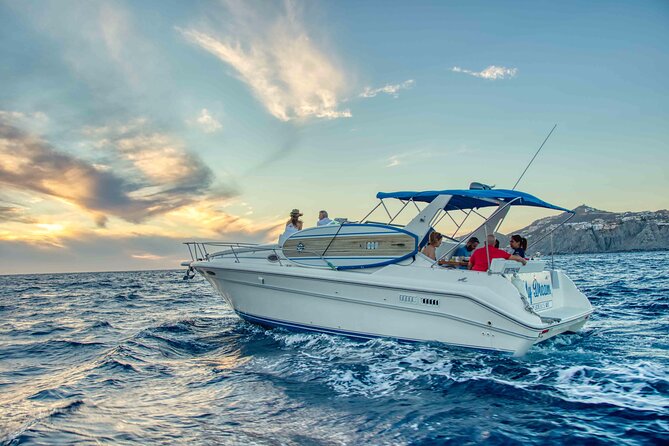 Private Whale Watching on Luxury Yacht in Cabo San Lucas - Meeting point and timing: where to start and what to do before you leave
