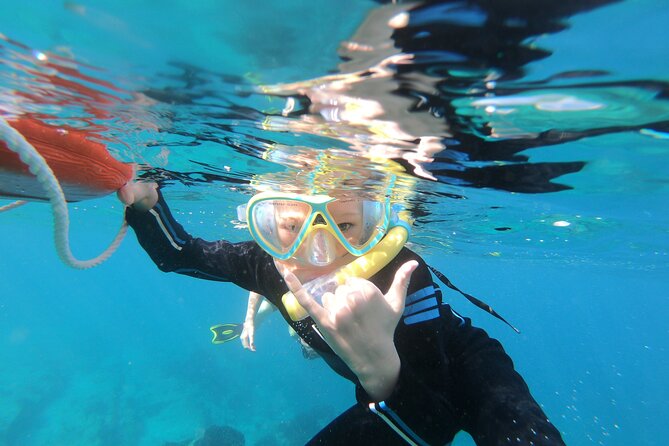 Private Wild Dolphin Encounter Day Trip - Guided swims and snorkeling stops without chaos