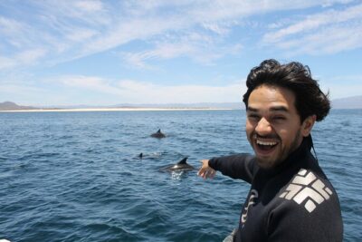 Private Wild Dolphin Encounter Day Trip - The wildlife hunt: dolphins first, but not only dolphins