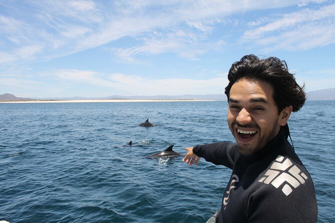 Private Wild Dolphin Encounter Day Trip - The wildlife hunt: dolphins first, but not only dolphins
