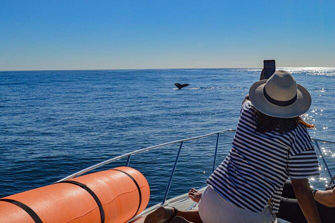 Private Yacht, Snorkeling or Sunset in Cabo San Lucas - From hotel lobby to yacht: the start is the easy part