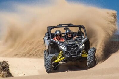 Race the Baja 1000 — Migriño Desert & Beach Off‑Road Adventure - The Desert Segment: Sun-Baked Tracks And Cactus Country