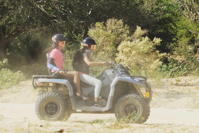 Ride through Bajas wild beauty—from desert trails to ocean views. - Playa Migriño Stop: Whale Season and Sunset Views on the Pacific