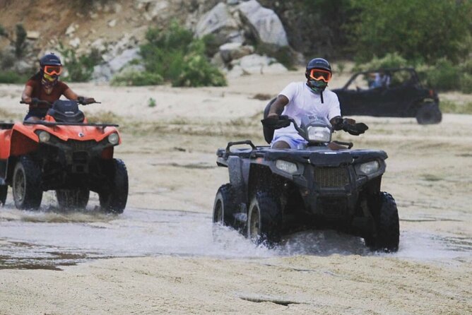 Ride through Bajas wild beauty—from desert trails to ocean views. - The Dirt, the Dust, and Safety Gear That Actually Helps