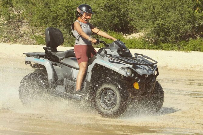 Ride through Bajas wild beauty—from desert trails to ocean views. - Price and Value: What the $76.50 Includes, and What Adds Up