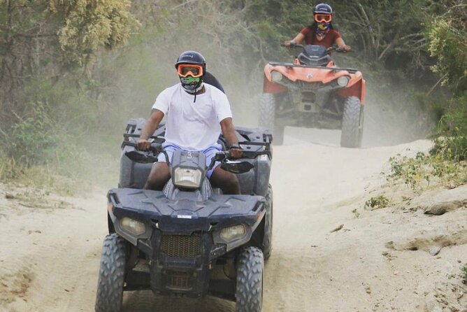Ride through Bajas wild beauty—from desert trails to ocean views. - Best for Who: Families, First-Timers, and People Who Want Photos