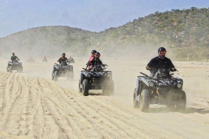 Ride through Bajas wild beauty—from desert trails to ocean views. - Baja California Sur Quick-Glance Views: Cactus Country to Cabo Coastlines