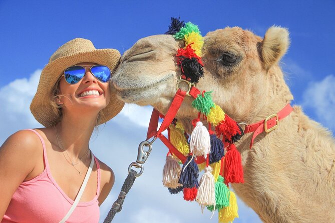 Safari with Camel Caravan to Explore Baja’s Nature, Culture and Cuisine - Key points before you go