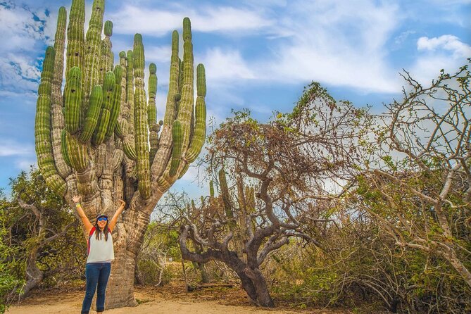Safari with Camel Caravan to Explore Baja’s Nature, Culture and Cuisine - Mexican lunch and hand-made tortillas at the ranch